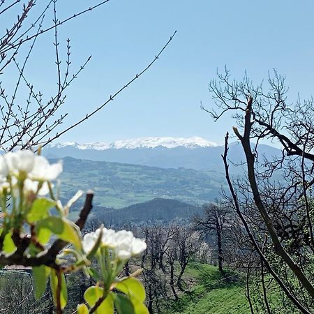 Casale Monte Valestra Bed & Breakfast Bebbio Dış mekan fotoğraf