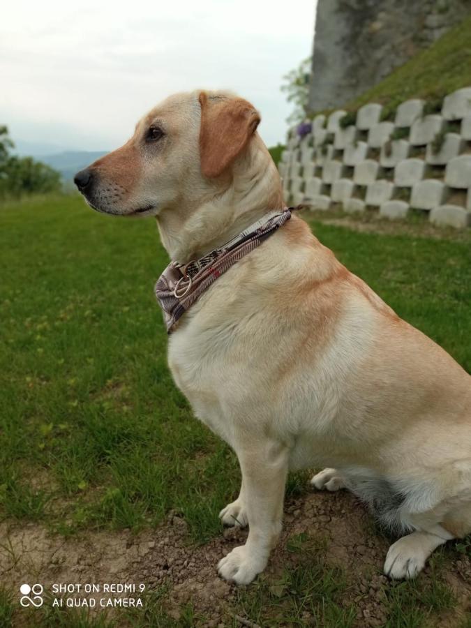 Casale Monte Valestra Bed & Breakfast Bebbio Dış mekan fotoğraf